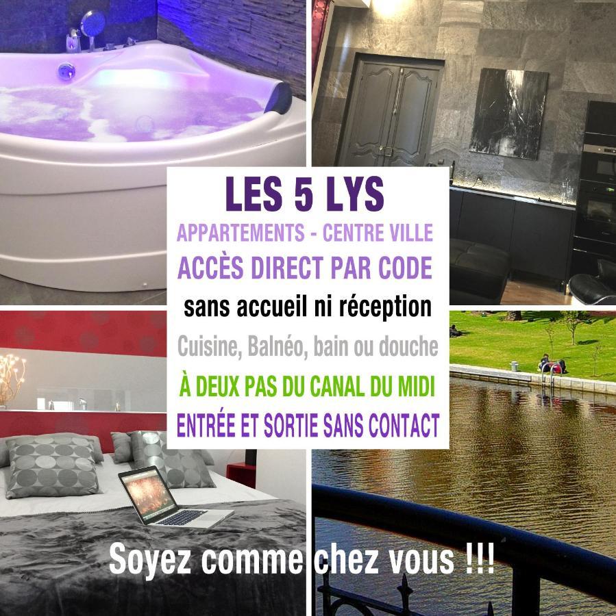 Apartments Les 5 Lys - Quartier La Bastide Каркассон Экстерьер фото